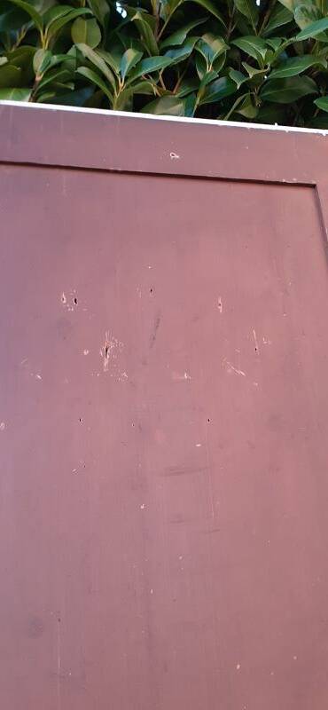 Pair of old cupboard doors h220.5xL75cm each