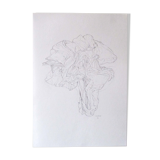 Drapé - original drawing signed