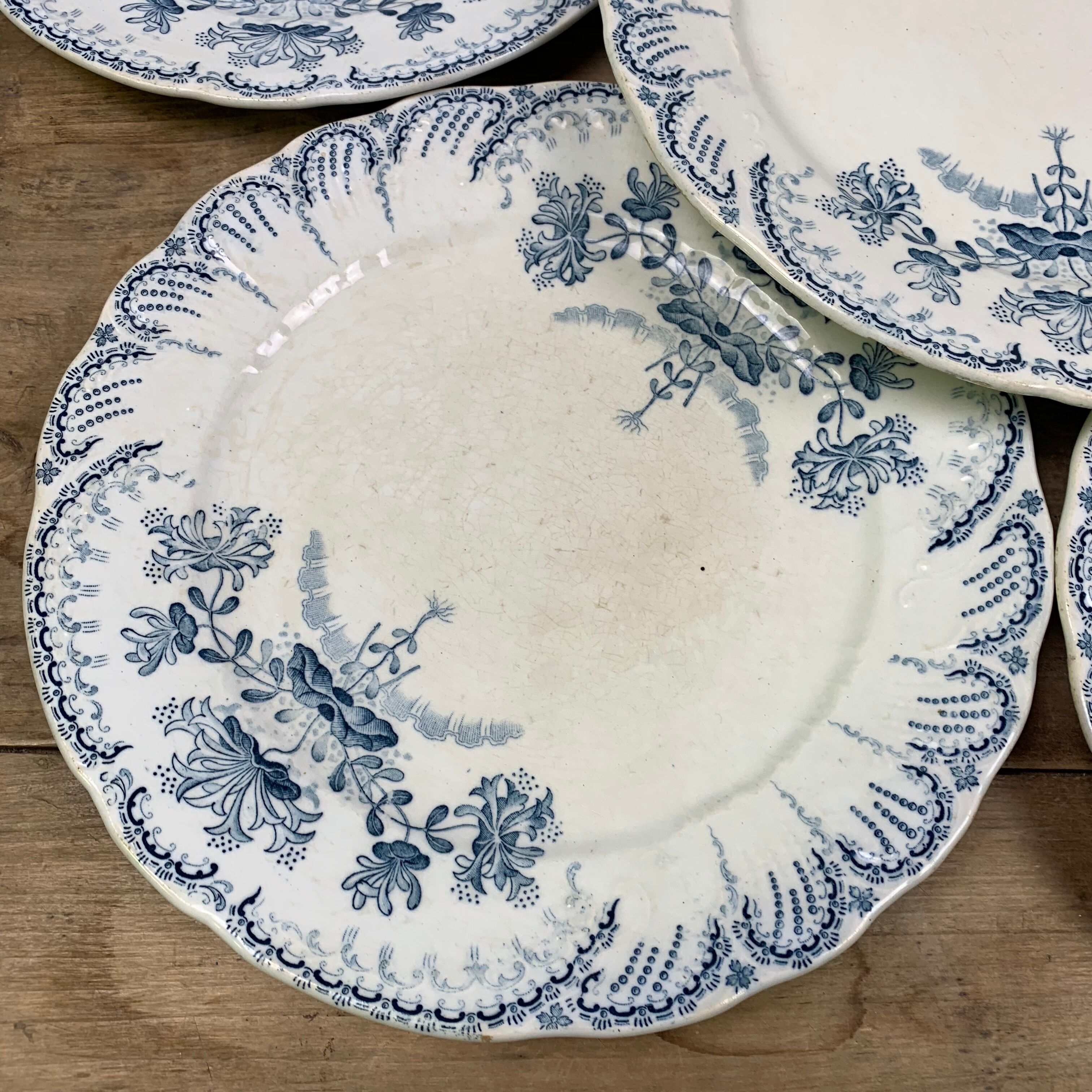 Set of 6 Saint Amand plates , Regency