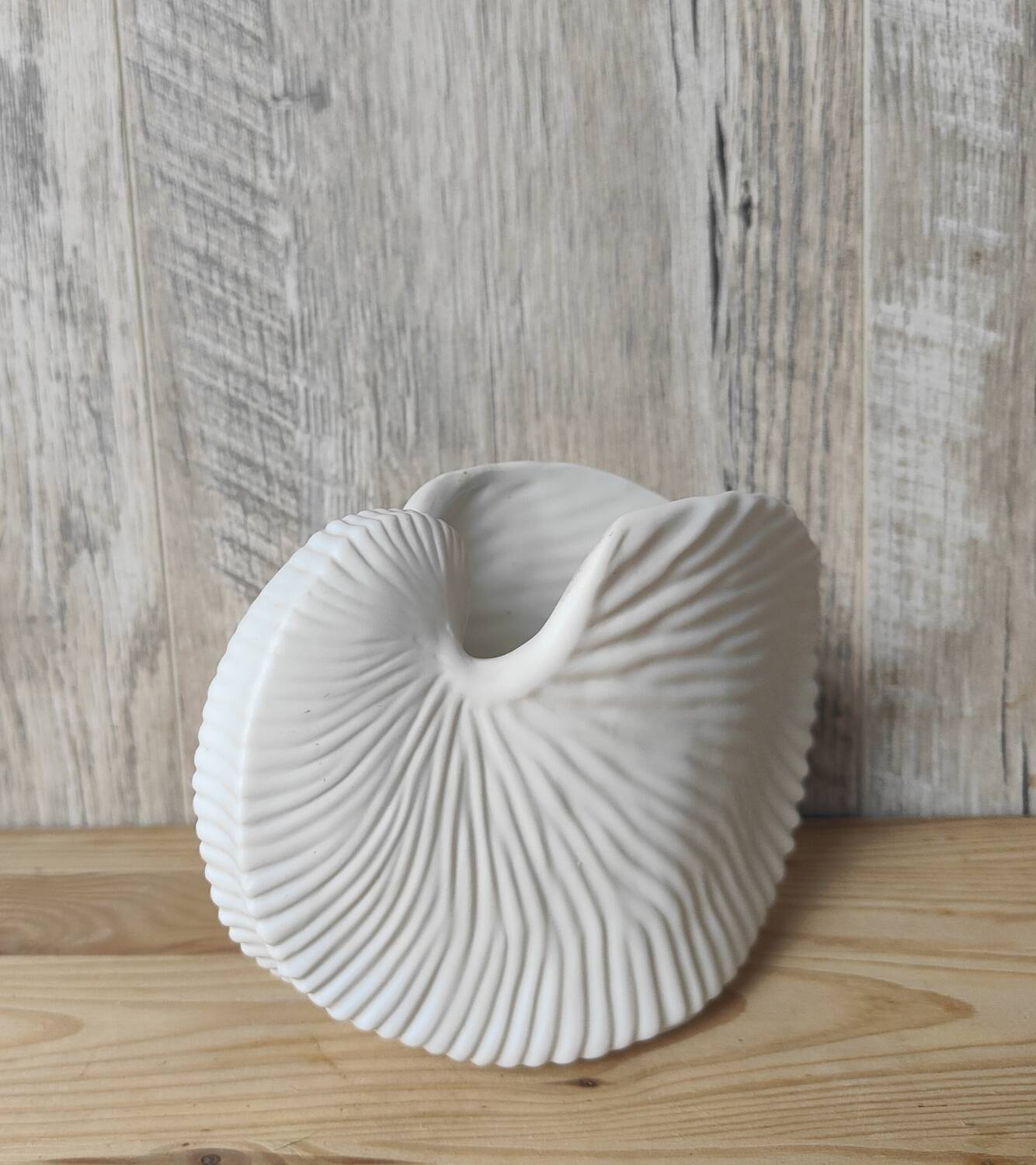 Shell tea light holder