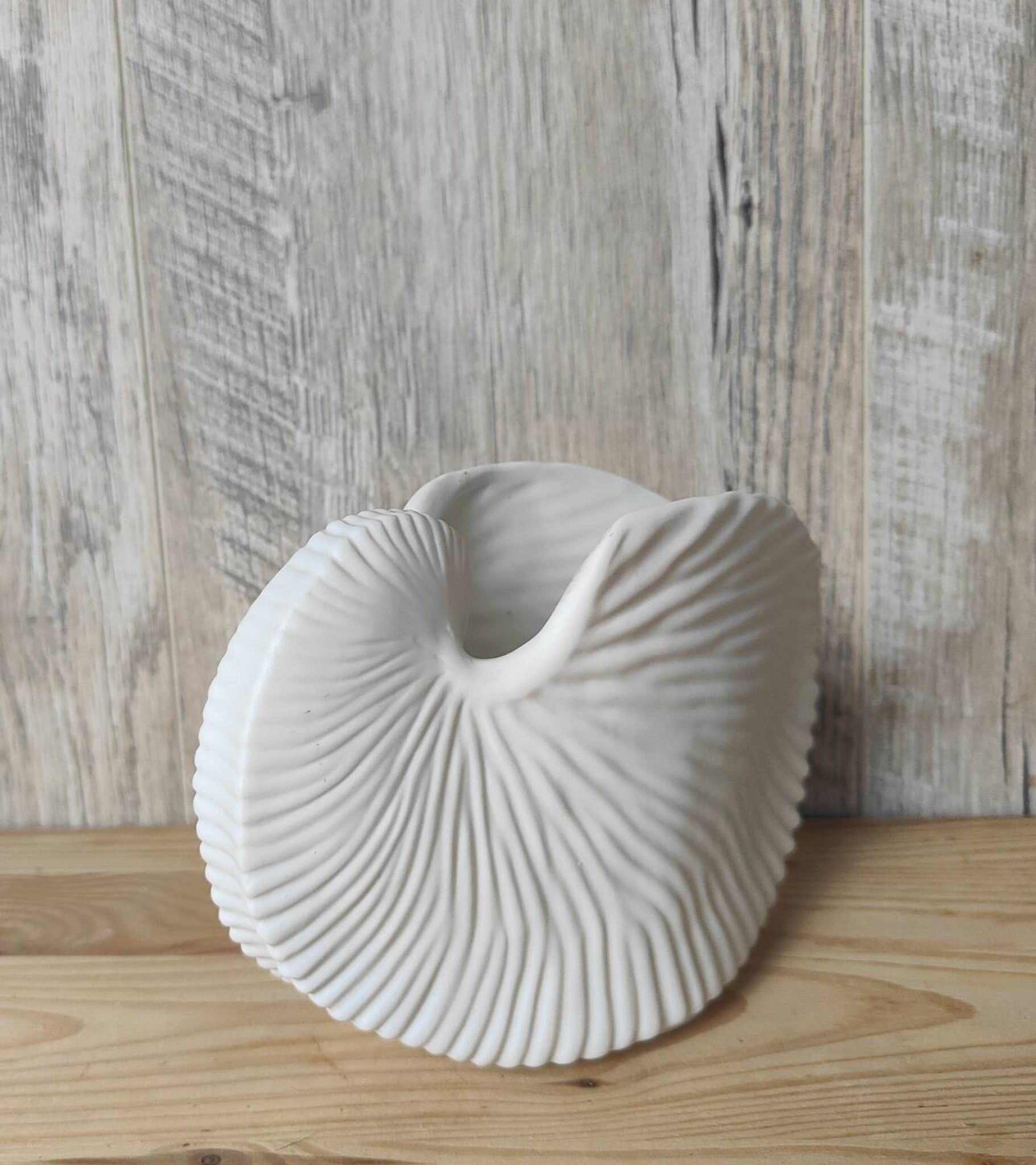 Shell tea light holder