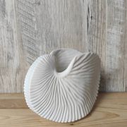 Shell tea light holder