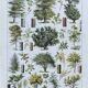 Old Millot illustration "Forest, forest trees"