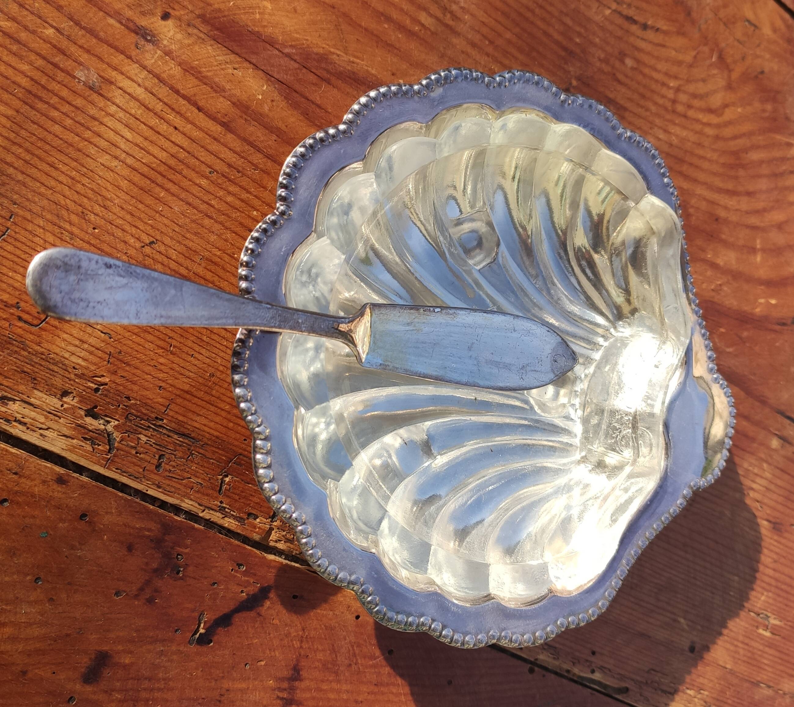 Old shell butter dish