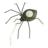 Beautiful Italian Mid Century Modern "Spider" wall lamp made of metal