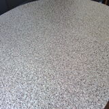 Extension roundtable 1970