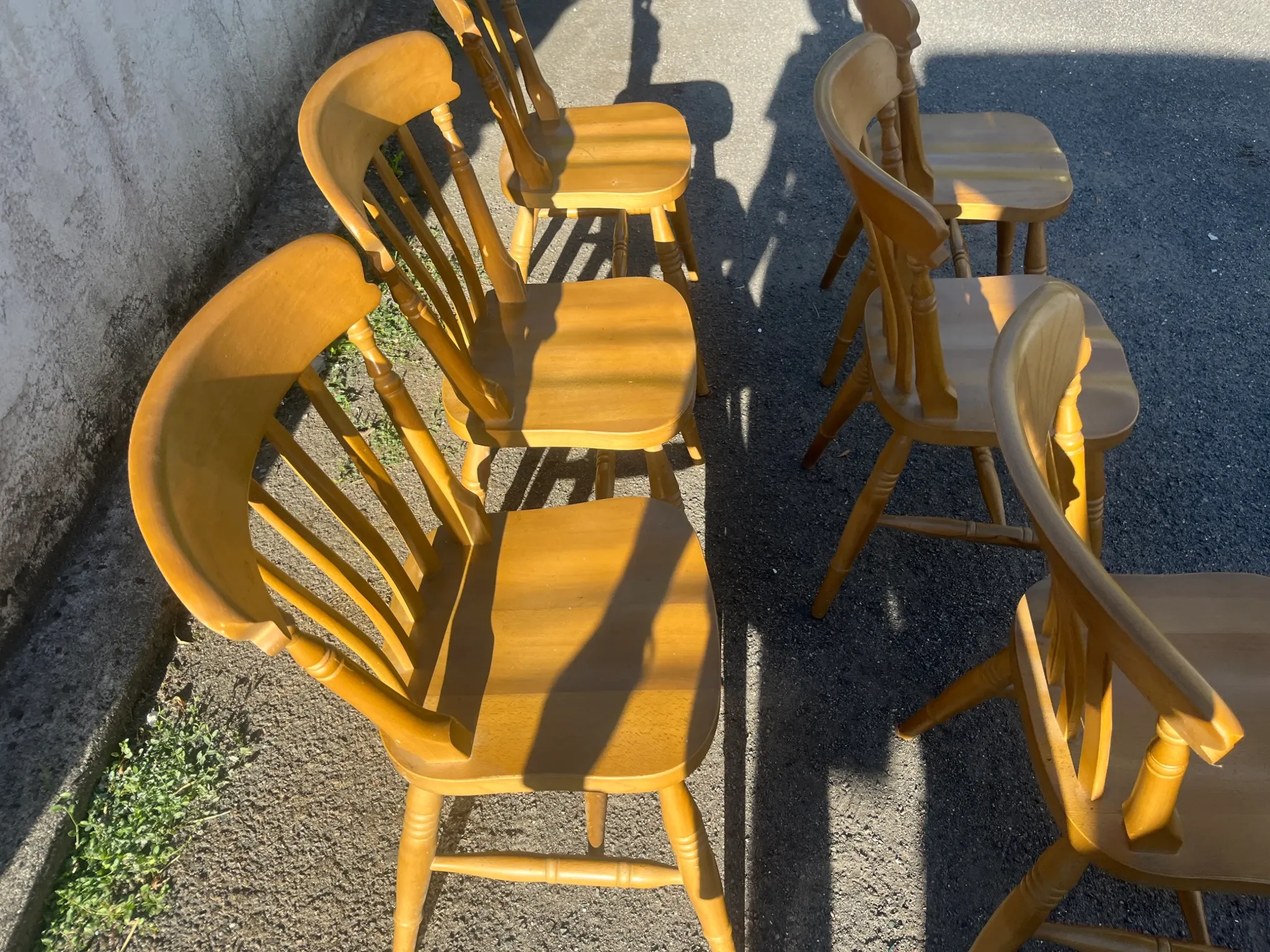 Set of 6 Interior's chairs in solid pine – Honey colour