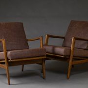 Stefan Armchairs from Swarzędzkie Fabryki Mebli, Poland, 1960s, Set of