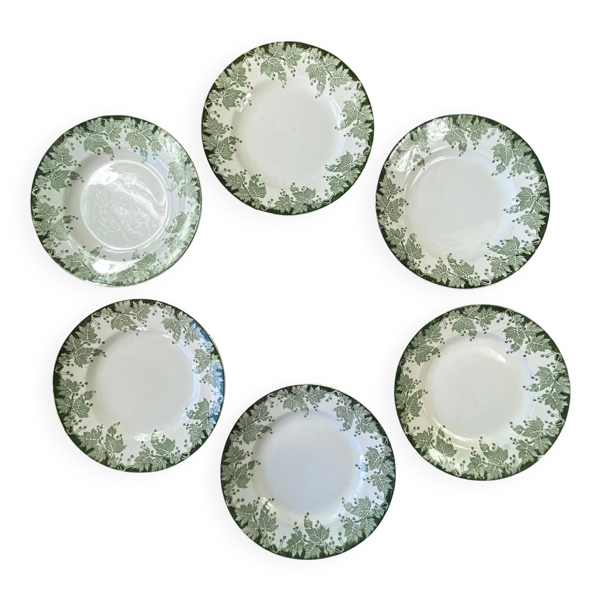6 flat plates in ironstone from Saint Amand and Hamage, Platane green model.