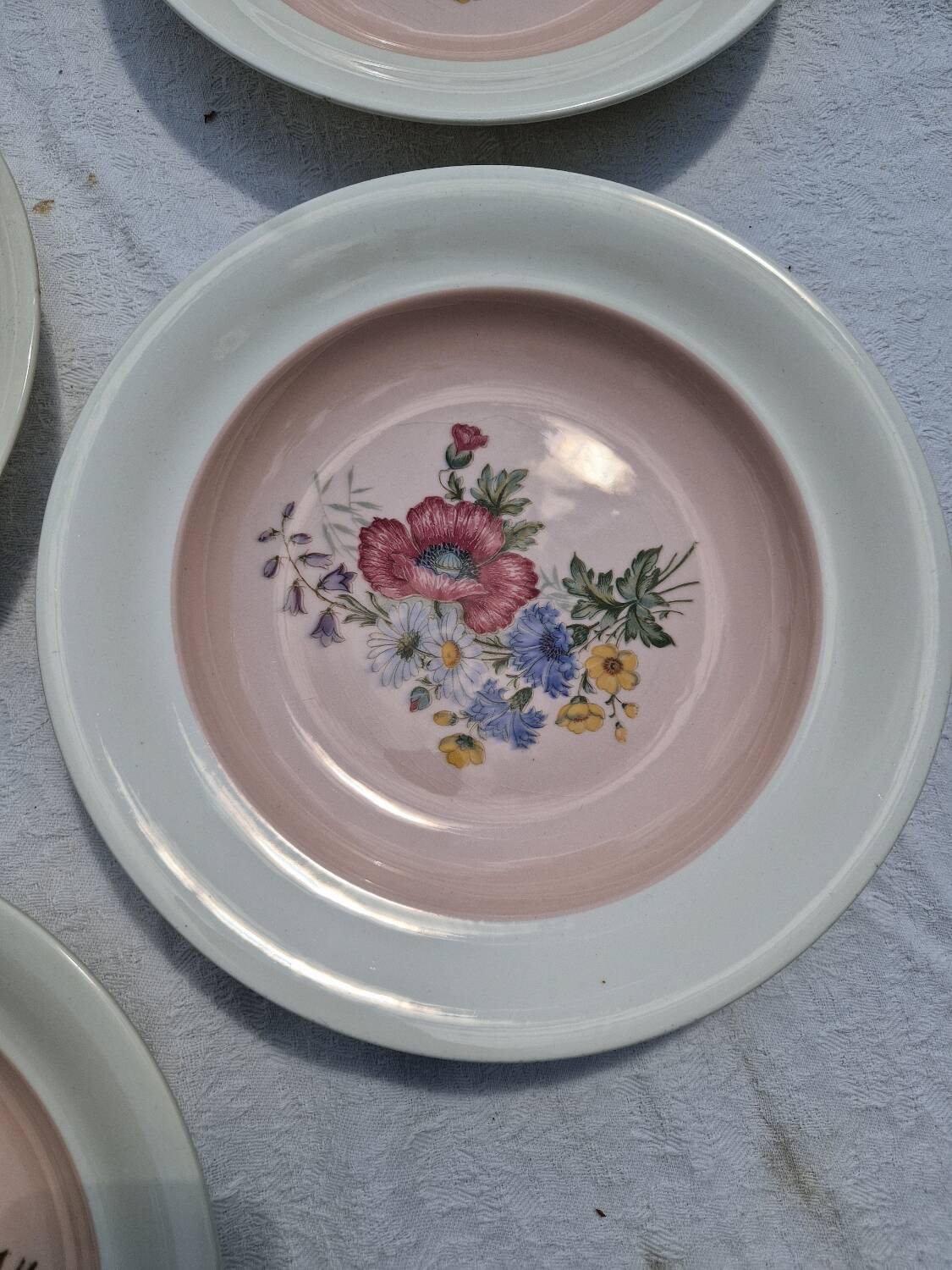 10 Vintage Villeroy & Boch Soup Plates Model 1584