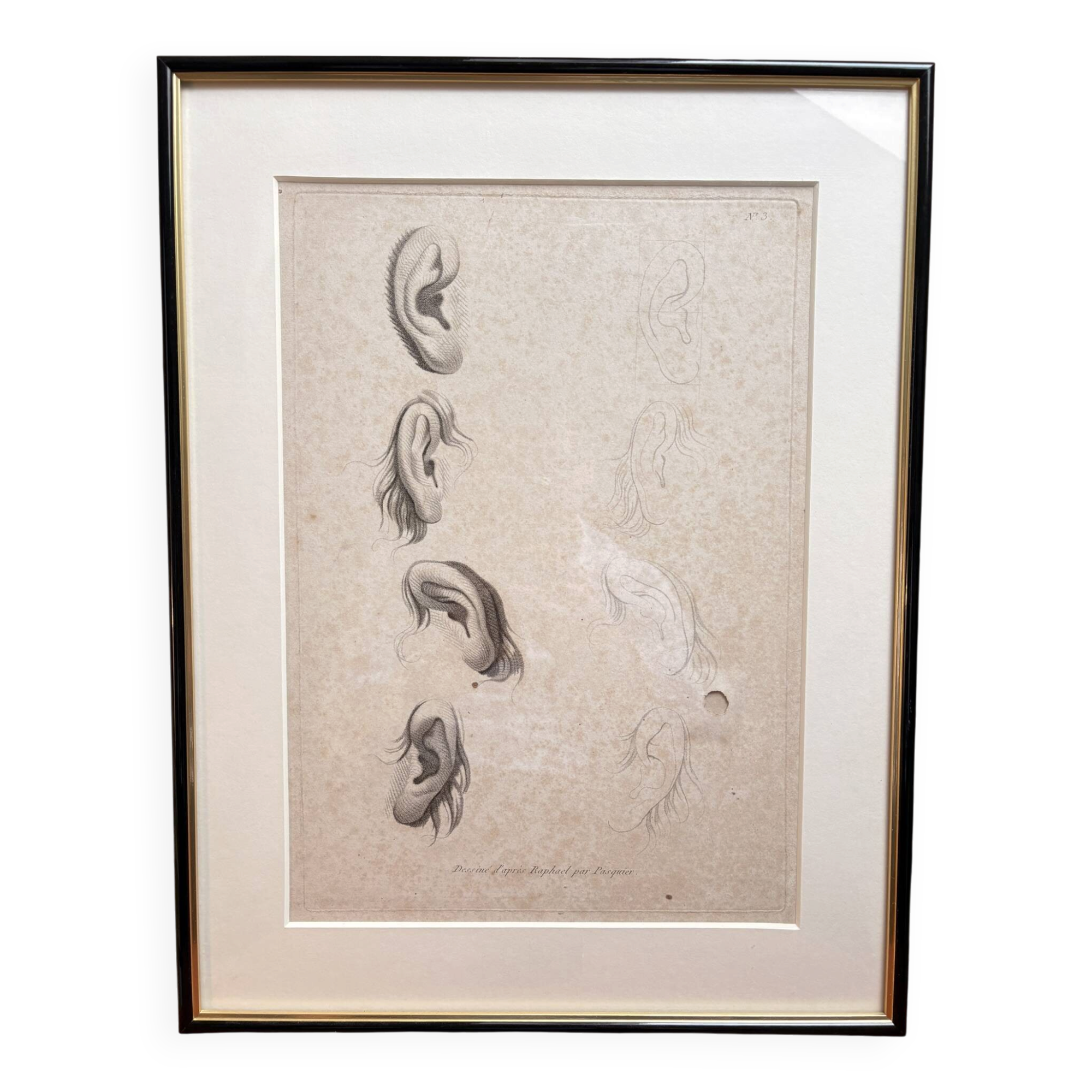 Old Print Engraving 19th Century Study of an Ear Sketch After Raphael Pasquier
