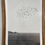The flight
