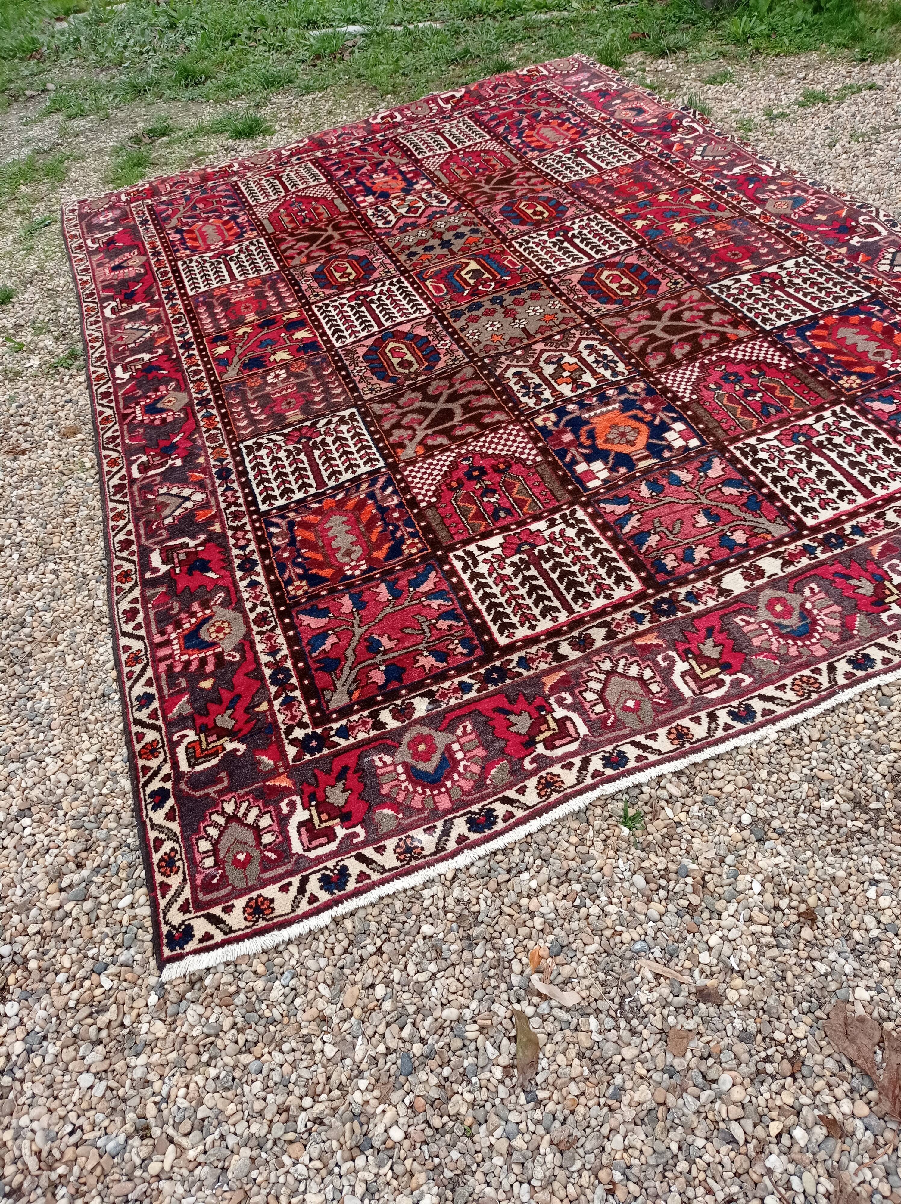 Persian carpets  209x309cm