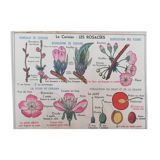 Old MDI school poster