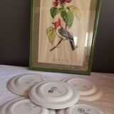 Lot de 5 assiettes à dessert