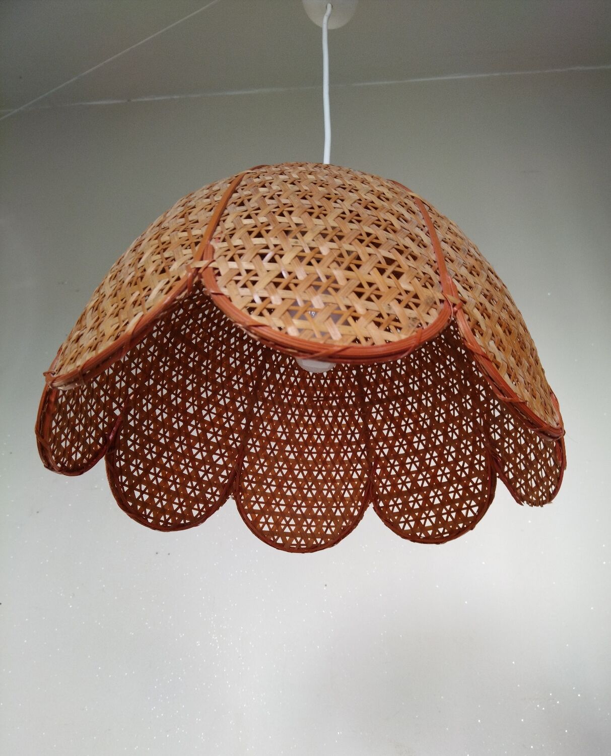 Rattan flower suspension