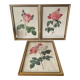 Antique lithographs by pierre joseph redouté, roses + gilded wood frame