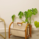 Vintage wooden magazine racks