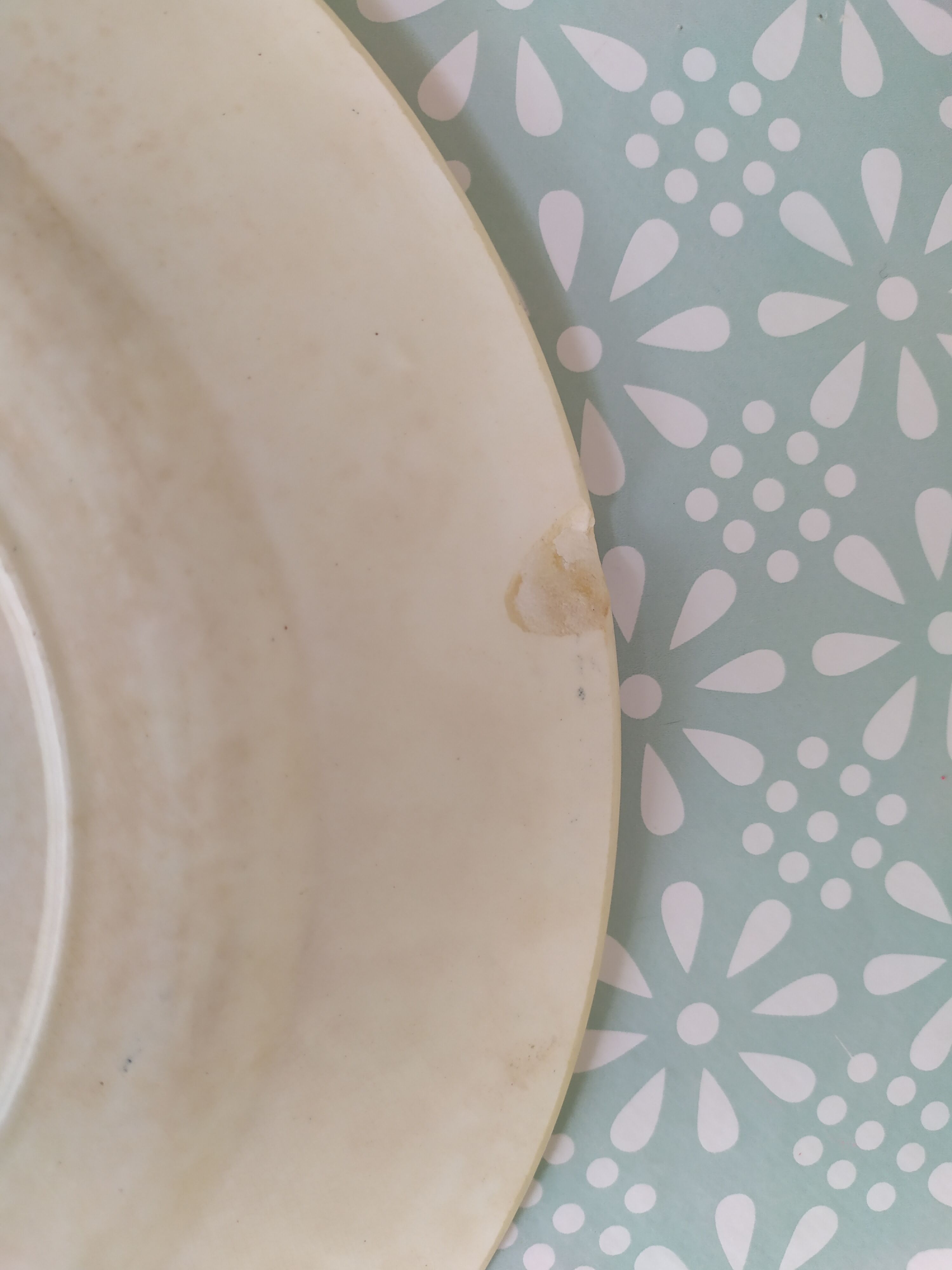 Set of 2 flat plates Terre de fer Salins Louis XVI
