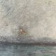 Old painting of sunrise over the sea