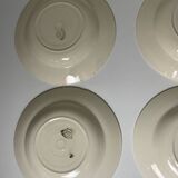 Iron earth soup plates