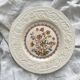 Booths "Wild Rose" English Polychrome Ironstone Flat Plate