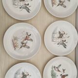 Villeroy plates