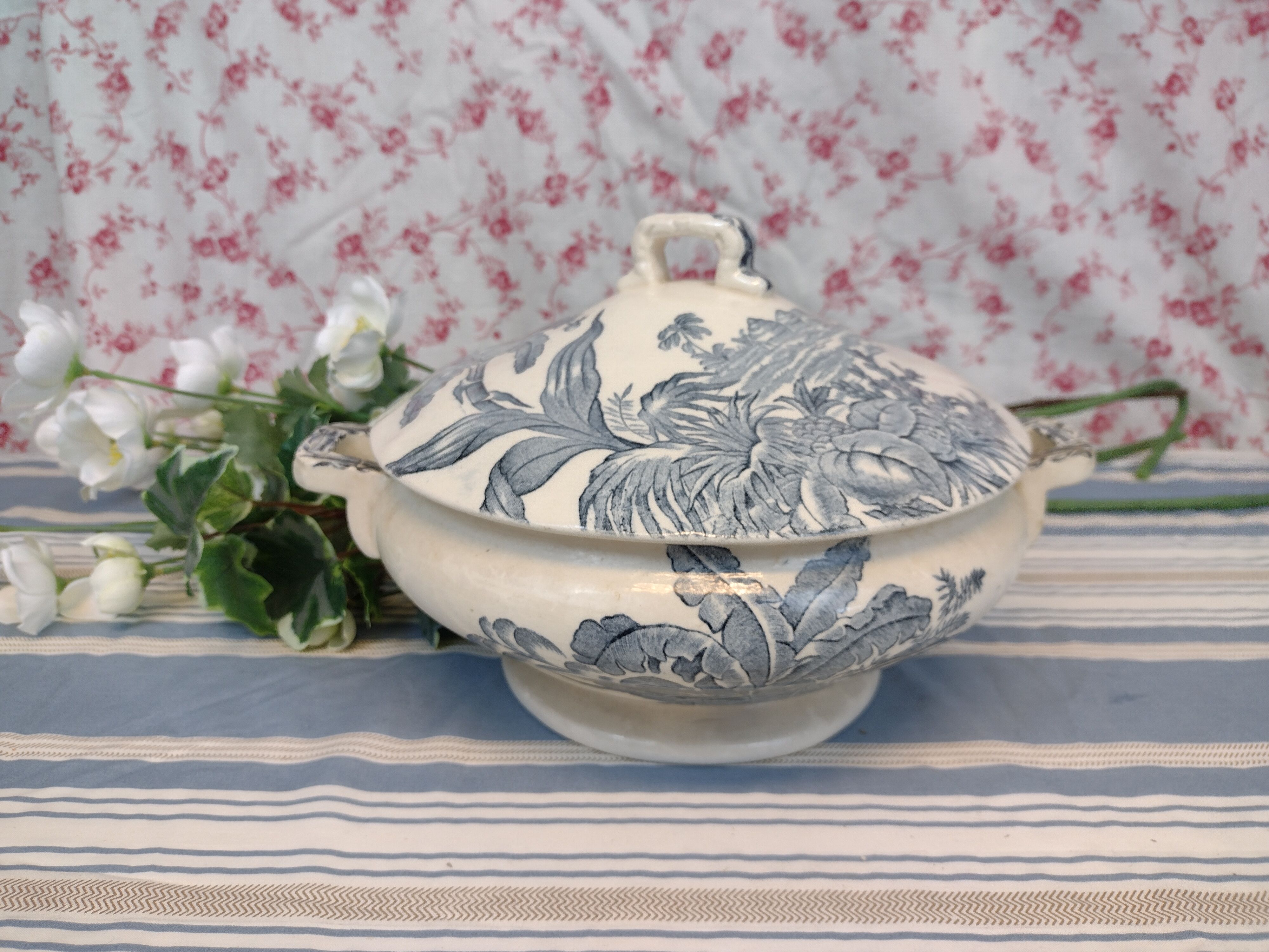 soup bowl longchamp exotic model