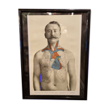 Photo frame book medicine