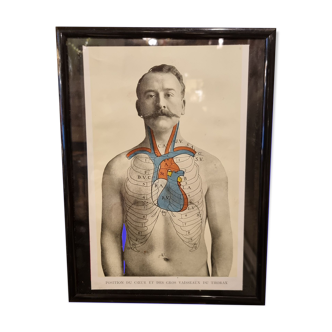 Photo frame book medicine