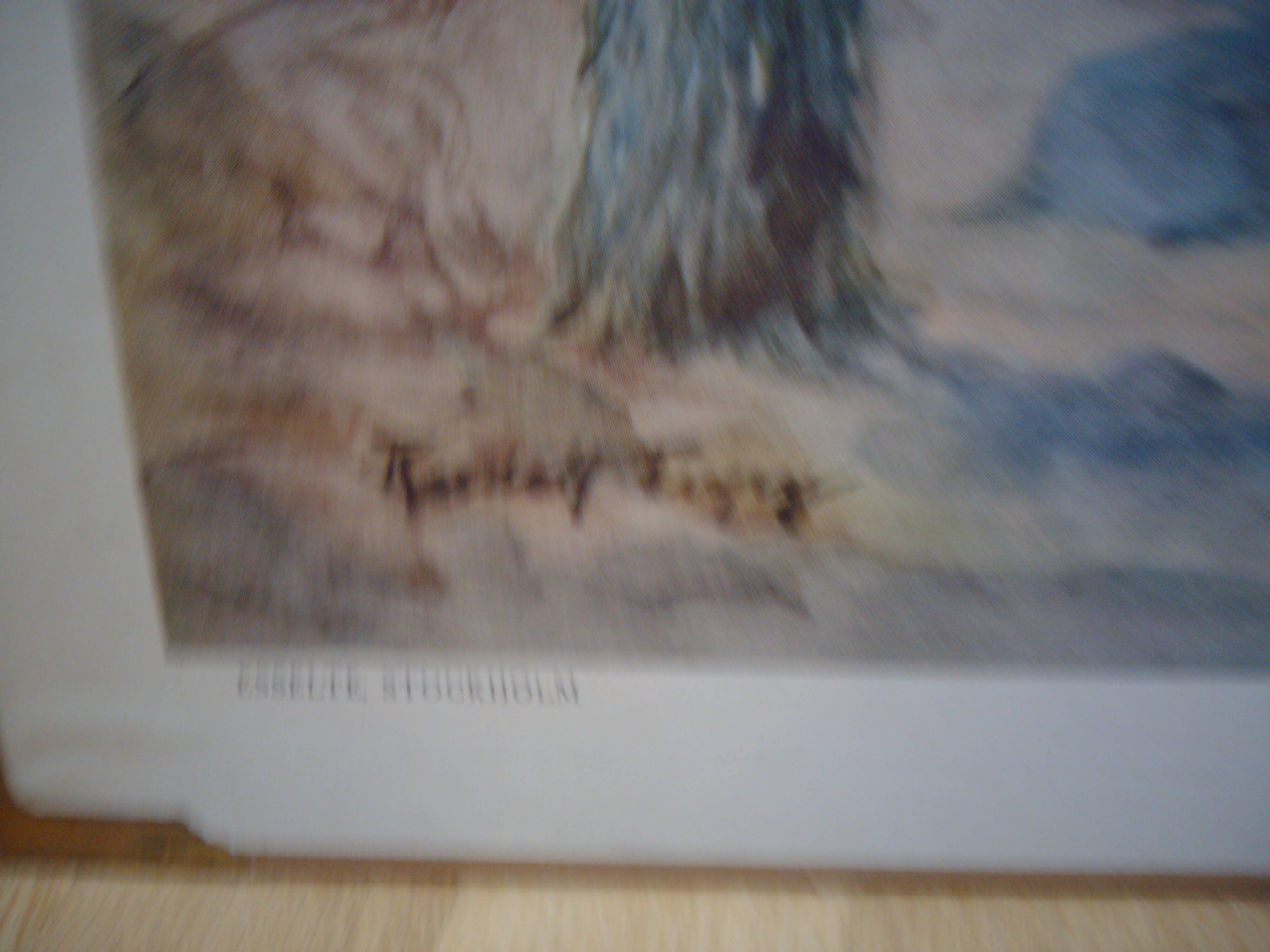 School poster, Giant Tortoise, 1940's, Sweden