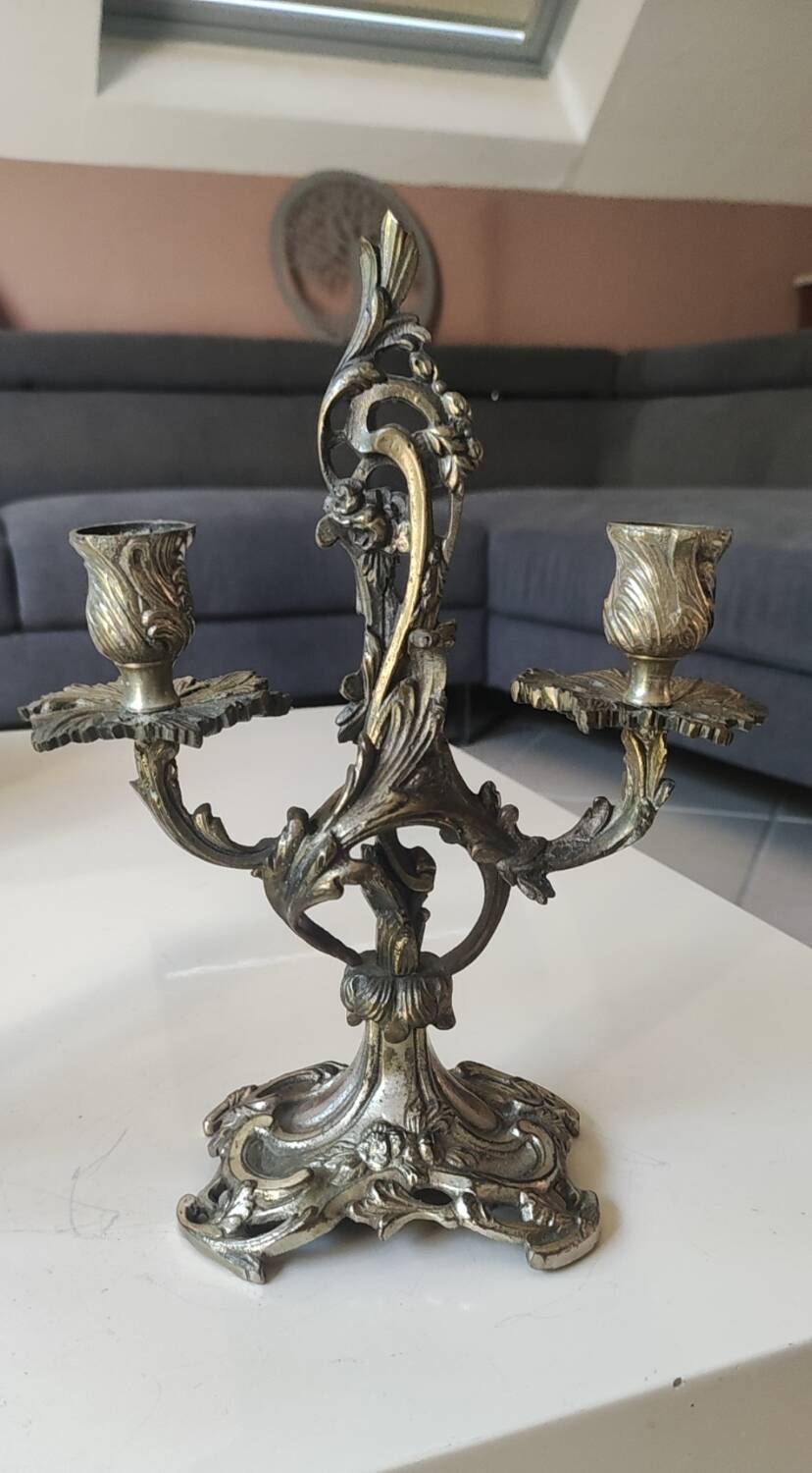 Pair of Candelabra in Louis XV/Rocaille Style, 2 lights. In gilded bronze, 19th century.