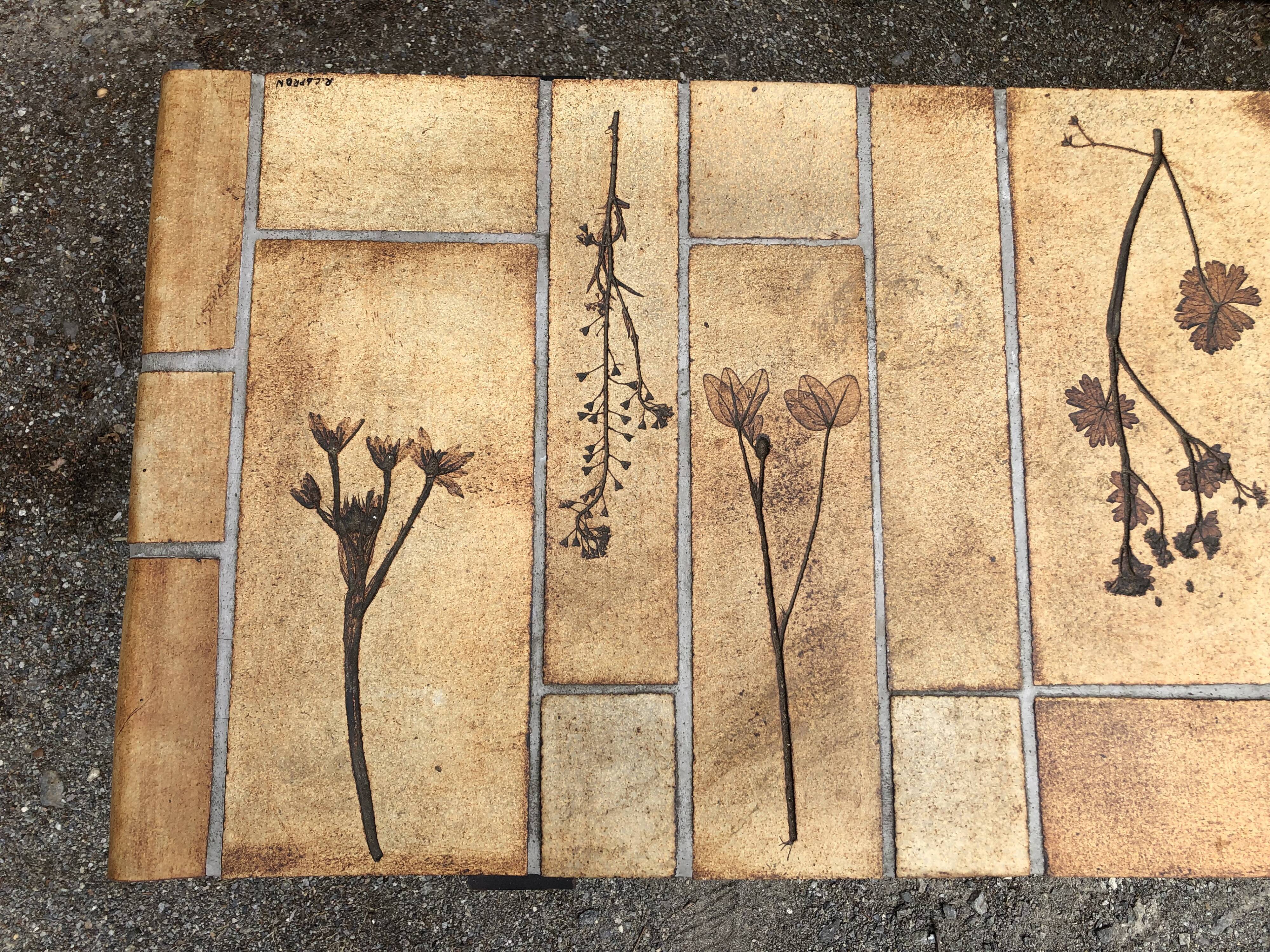 Vintage ceramic coffee table with herbarium decorations by Roger Capron, solid beech base.