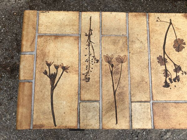 Table basse vintage en céramique a décors aux herbiers par Roger Capron, piétement en hêtre massif.