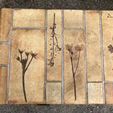 Vintage ceramic coffee table with herbarium decorations by Roger Capron, solid beech base.