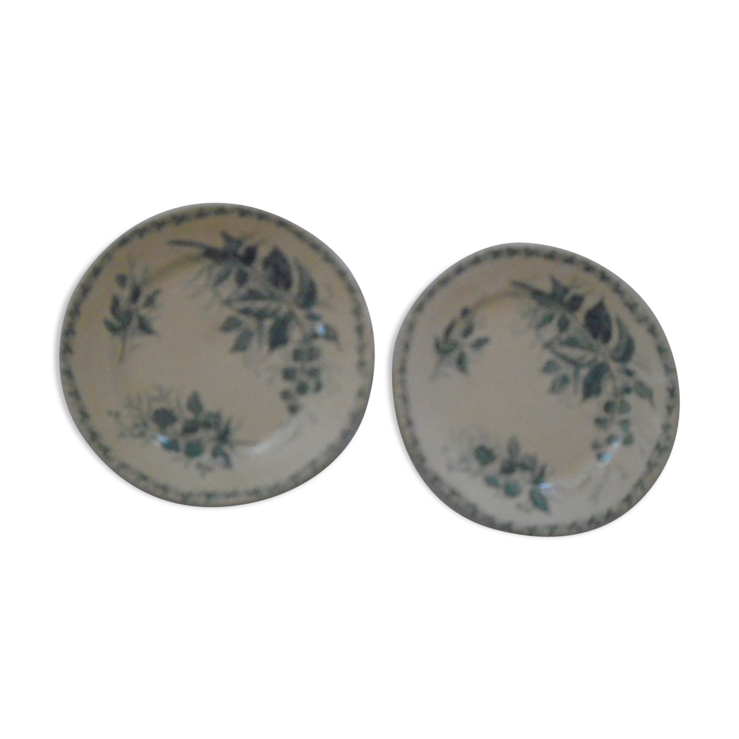 2 Plates faience old Bondonviller decoration MURE wild fruit iron earth diameter 22 cm