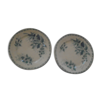 2 Plates faience old Bondonviller decoration MURE wild fruit iron earth diameter 22 cm