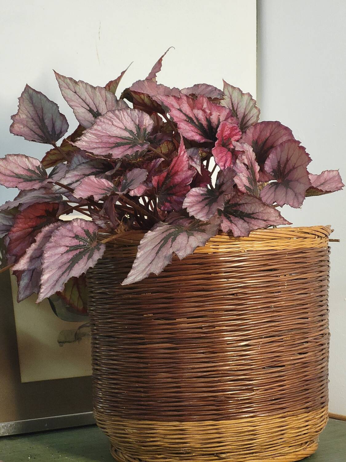 Wicker rattan planter