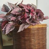 Wicker rattan planter