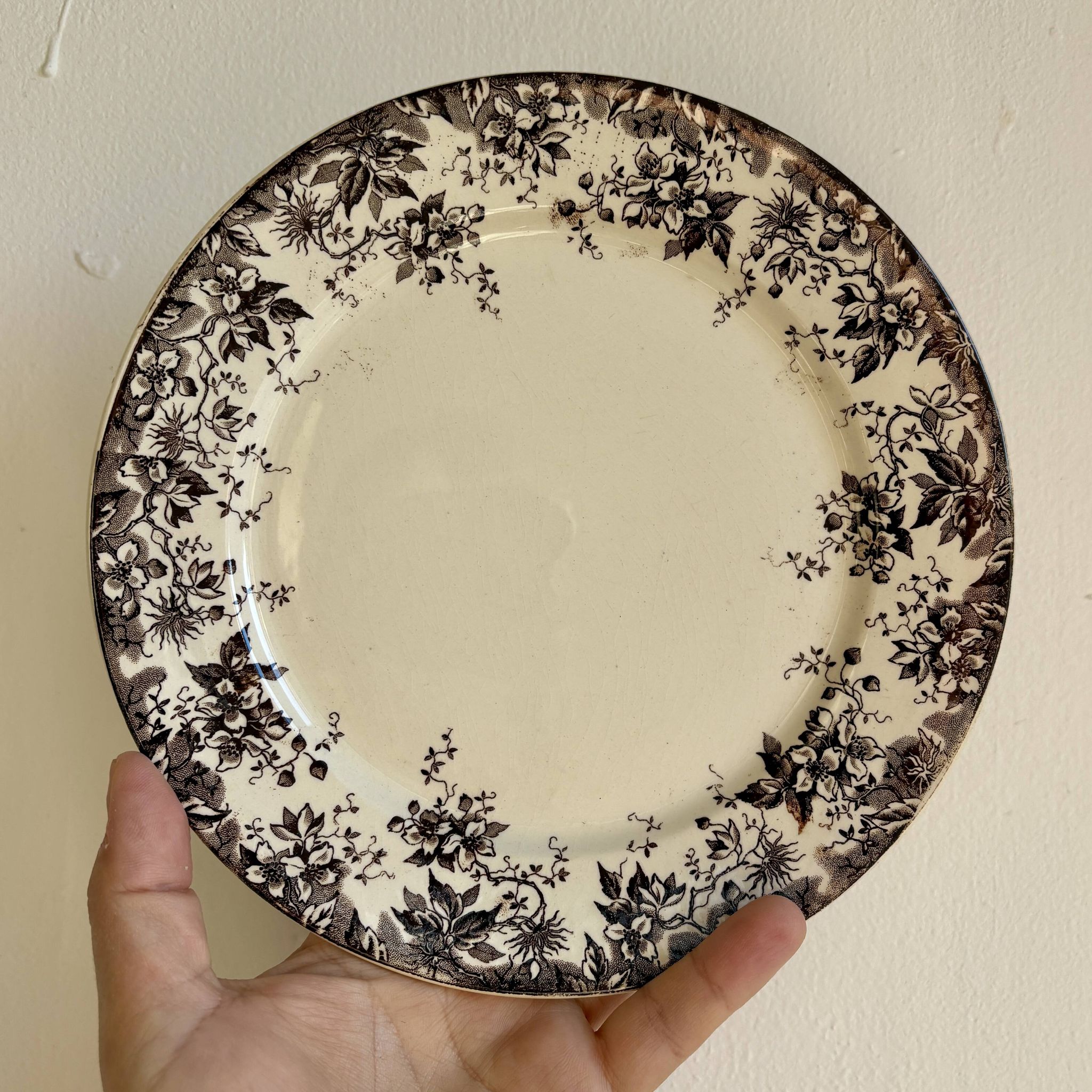 Set of 6 antique ironstone dessert plates, Alphand pattern by Sa