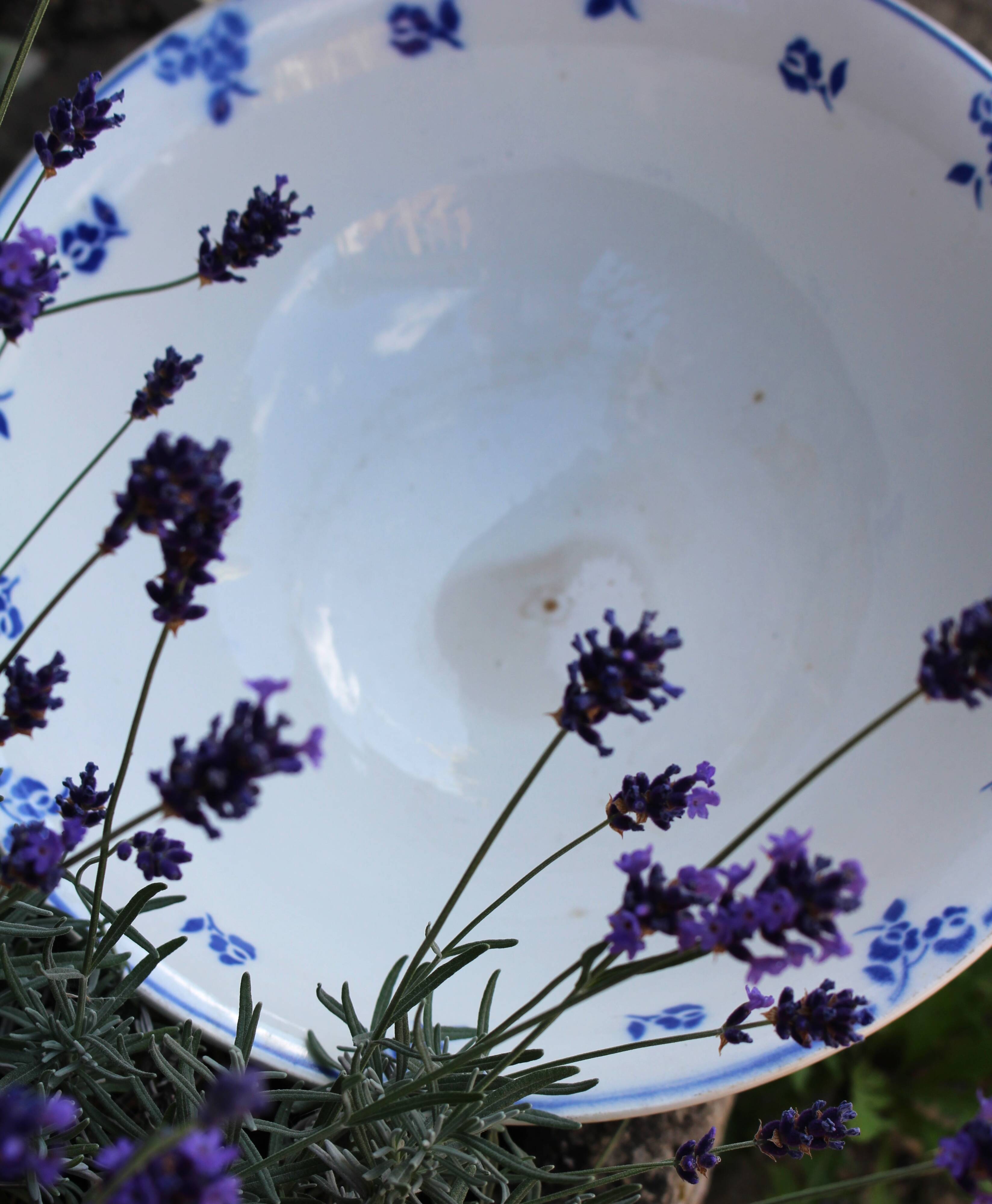 Blue salad bowl Digoin Art Deco Flowers