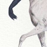 Chimera lithograph engraving animal - the guéréval