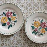 2 plates in iron earth