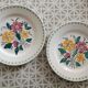 2 assiettes en terre de fer