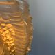 Vintage chrome and sandblasted glass shell wall lamp, France 1960