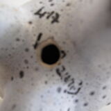 Zoomorphic Ceramics