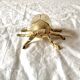 Vintage golden brass scarab
