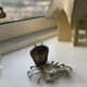 Vintage crab from the 70s