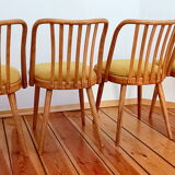 Set of chairs designed by A. Suman, Czechoslovakia, the 60s