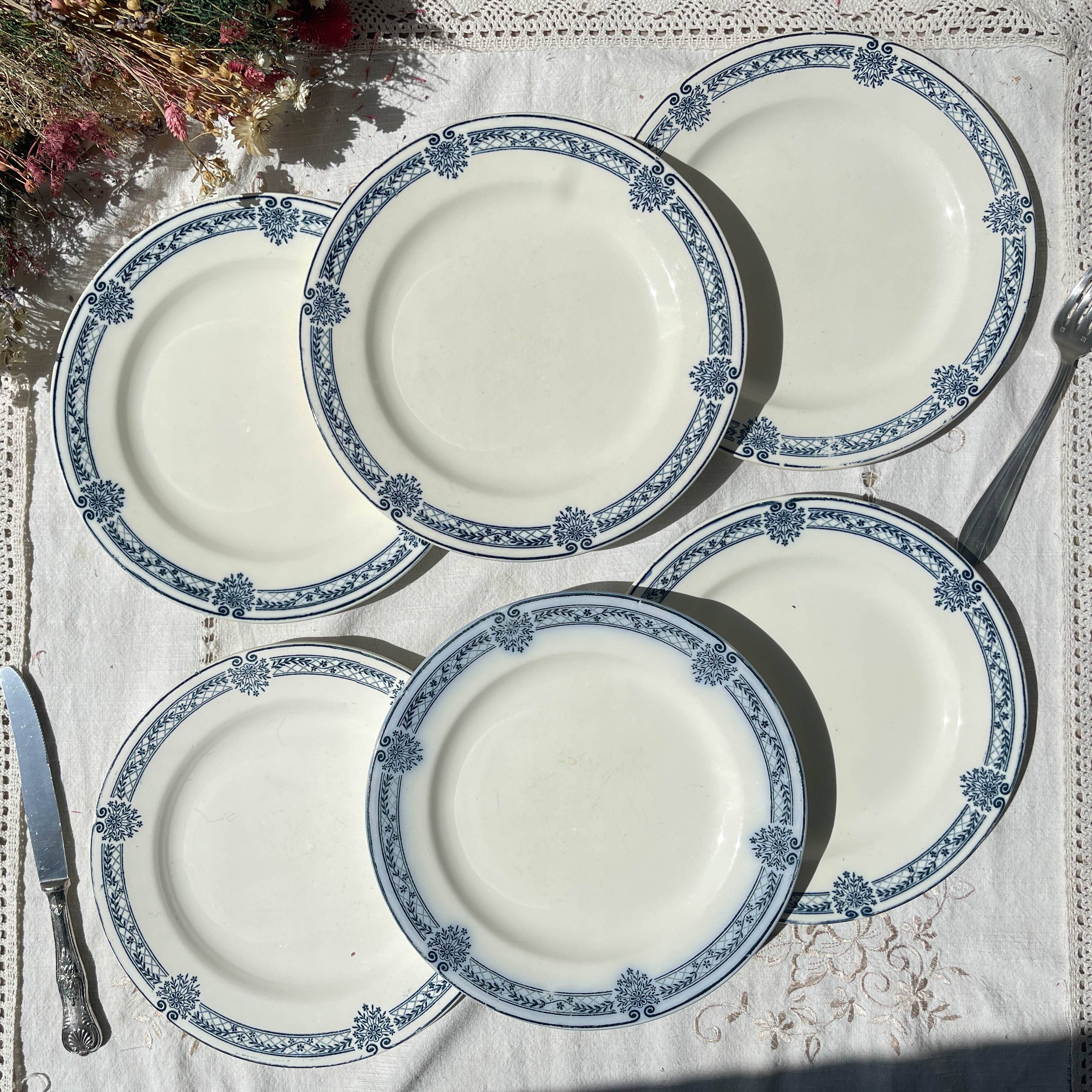6 Flat plates Terre de fer bleu Salins model Arbois Ennege